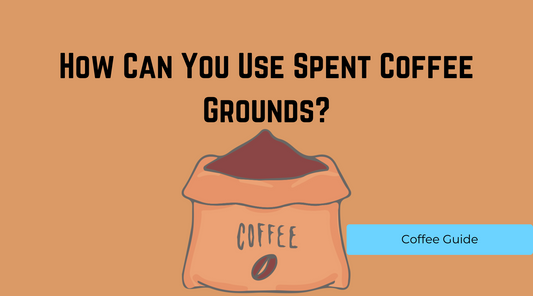 Transforming Spent Coffee Grounds into Sustainable Solutions